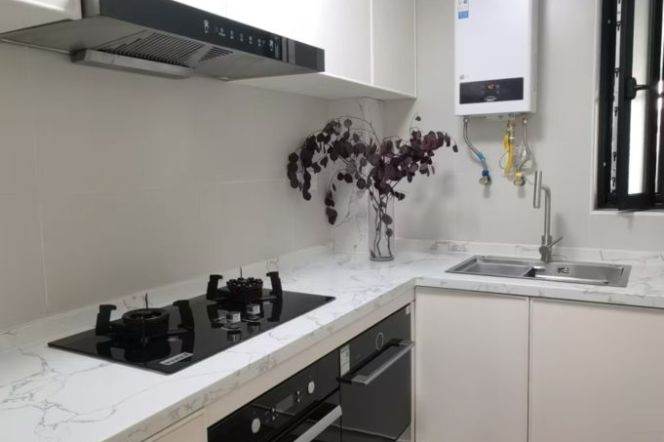 High-end modern big closet space central AC elevator @ line 1,4,11  Xuhui