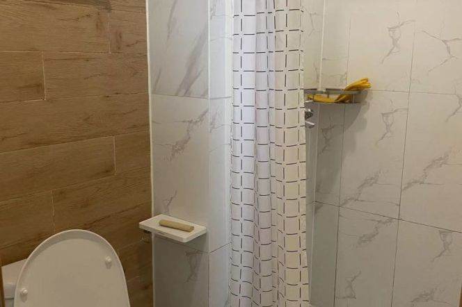 1BR near line 3/18 and Tong'ji University can long and short term lease