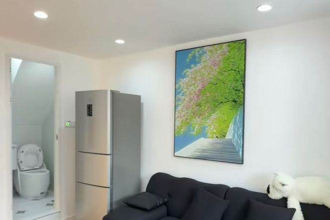Lovely n cozy 1 BR 1 LR near West Nanjing rd station 