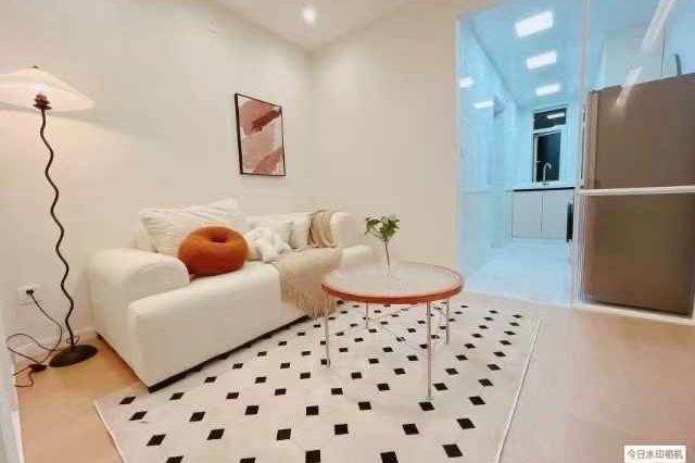 Pudong area/modern 1br 1lr/bright room/brand furniture,Pudian rd@L6