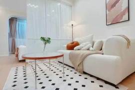 Pudong area/modern 1br 1lr/bright room/brand furniture,Pudian rd@L6
