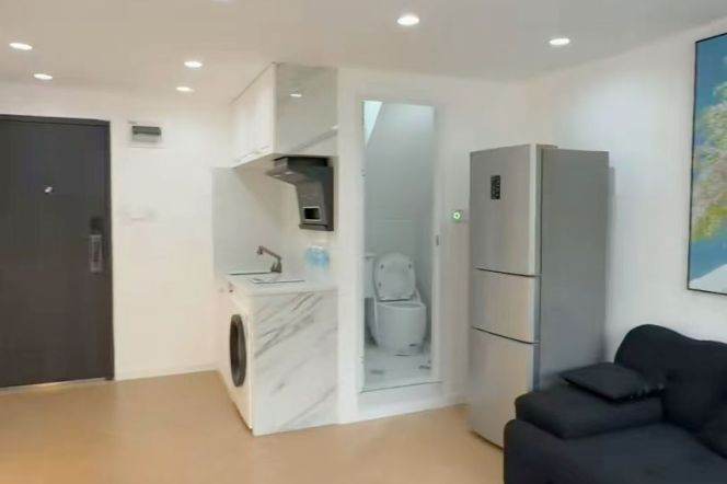 Lovely n cozy 1 BR 1 LR near West Nanjing rd station 