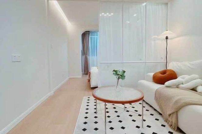 Pudong area/modern 1br 1lr/bright room/brand furniture,Pudian rd@L6