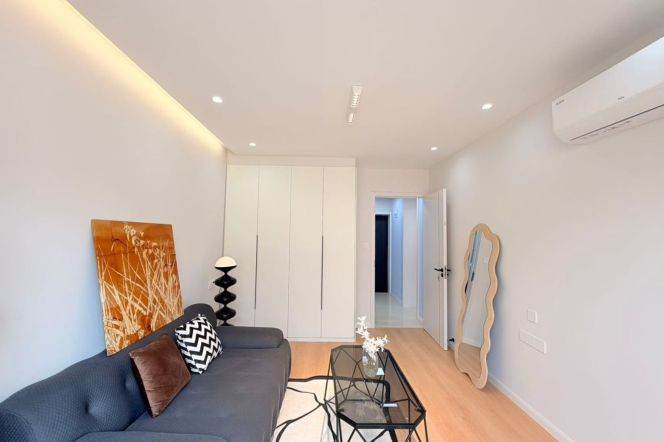 Pudong area/modern 1br 1lr/double south/big living room,Century Avenue@L2/4/6/9