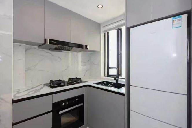 1 br near L2/L12/L13 west nanjing rd station+elevator