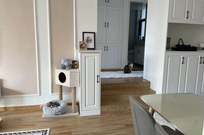 Gubei business district | 2 Br, 1 Ba,  natural sunlight, good view| L2/10