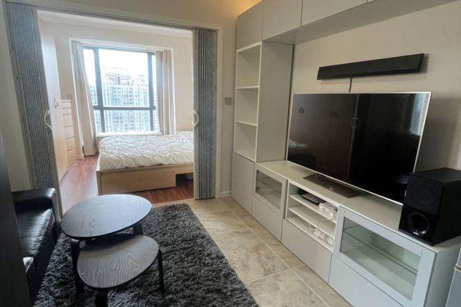Lovely high rise 1 BR with fantastic view near iapm 
