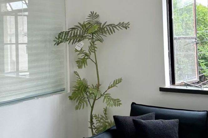 Modern Deco green view 1BR Shanxi(s) Rd 9.9k