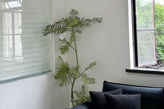 Unique 1br with balcony @South Shaanxi Rd &IAPM  Line 1/10/12   