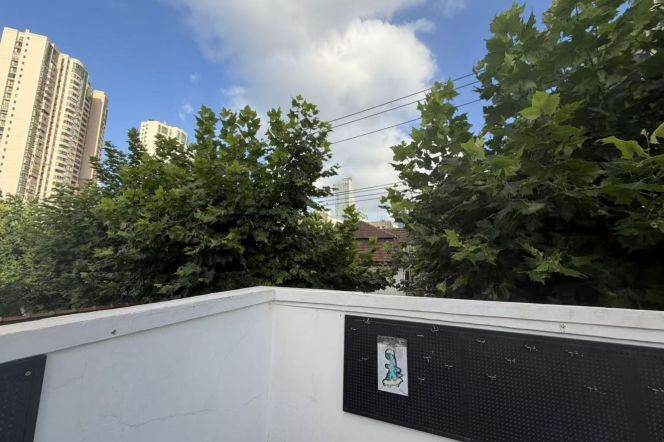  1 br near L2/L7/L14 jing'an temple station+floor heating+terrace
