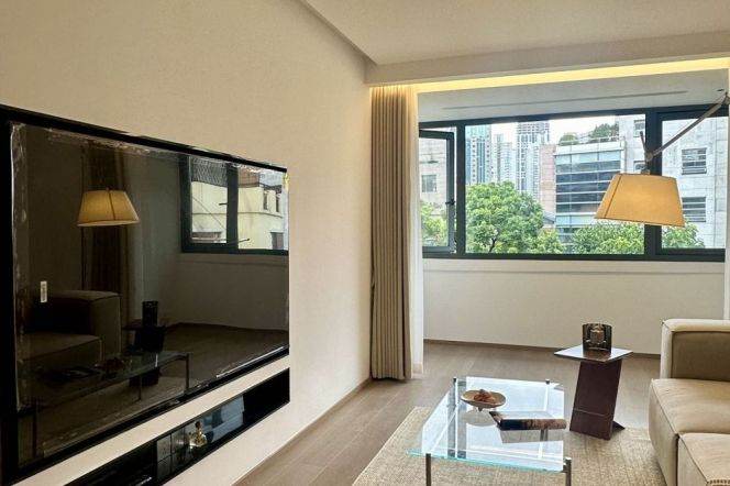 West Nanjing rd station one bedroom