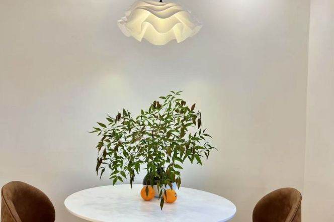 Jiangning rd/modern 1br 2lr/all bright room/with central AC/big living room,@L13/7