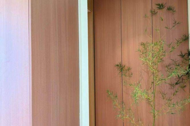 2 Brs, 2 Baths with Terrace/Floor heating/Central ac/Gym, 120 sqm @ Zhongxing metro L8
