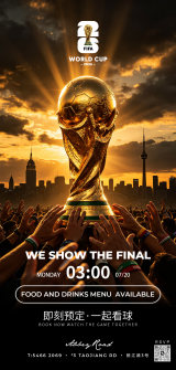 World Cup Final 
