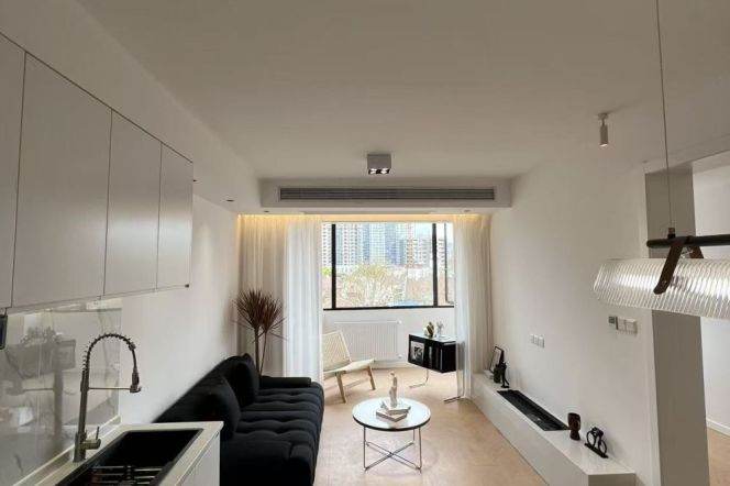 South Shaanxi Bright 1BR-iapm