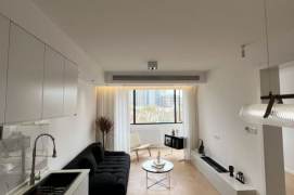South Shaanxi Bright 1BR-iapm