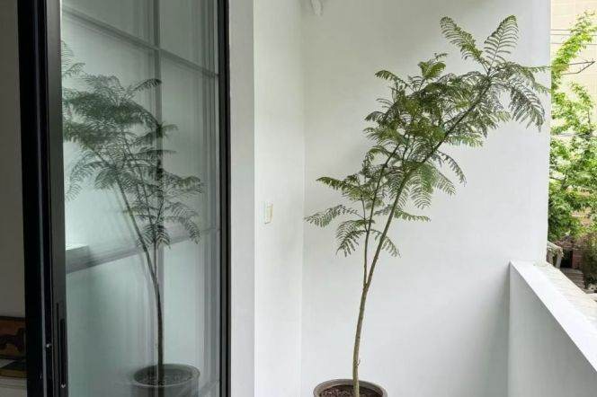 Hengshan Rd,SH Library,Jiaotong Univ cozy 1Br wt balcony,heating