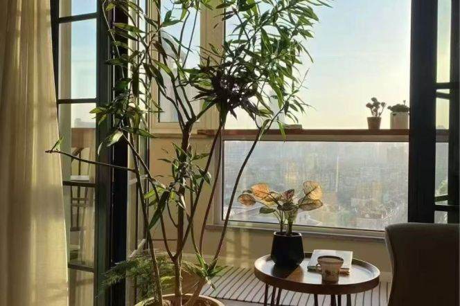 Shanghai Library elevator 2BR apartment