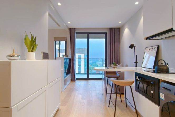 1BR near line 10 Wujiaochang and Fu'dan Uni can long and short term lease