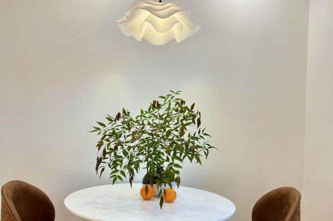 Well-lighted 1Br/2Lr/1Bt Close to L13 Jiangning Rd Station 