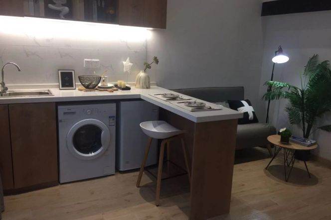 1Loft near line 10/18 Fu'dan University can long and short term lease
