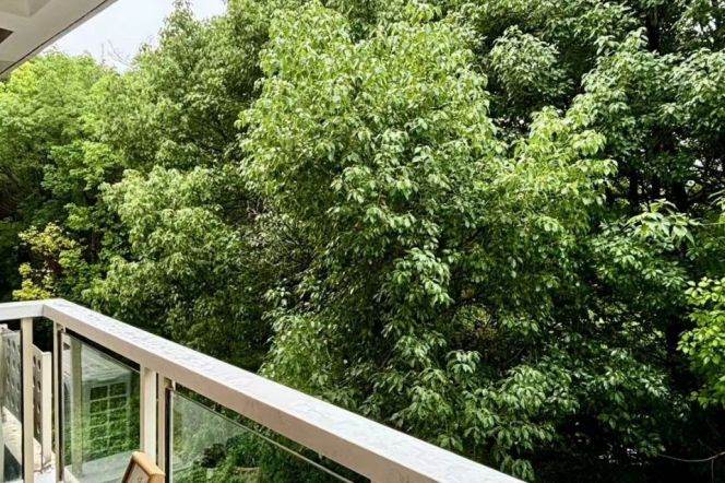 Elegant+Elevator+Balcony 2Brs L15