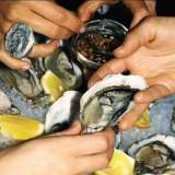 Good Saturday: Champagne, Oysters & DJ Sets at Bar Goodman