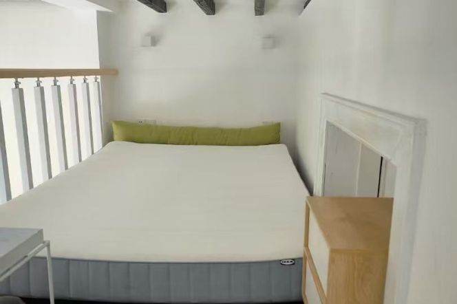 West Nanjing rd 1BR apartment