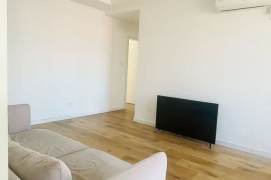 4 Brs, 2 Baths with Open Balcony/Oven/Drysr, 160 sqm @ Xujiahui station L1,9&11