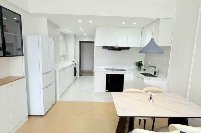 jinshajiang rd station one bedroom