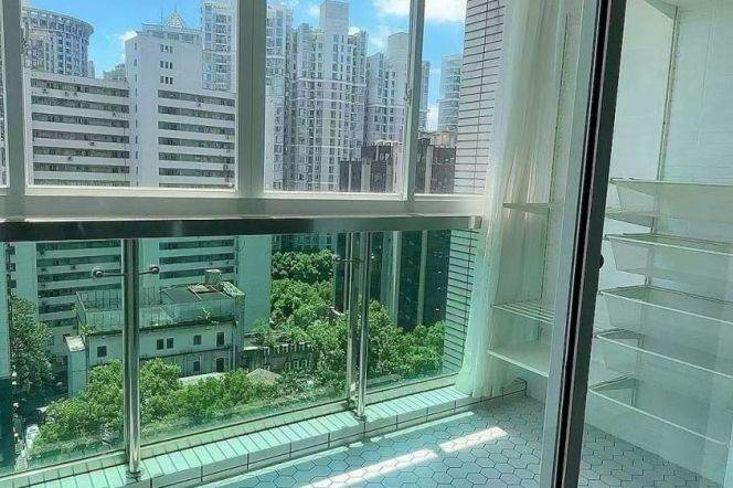 4 Brs, 2 Baths with Open Balcony/Oven/Drysr, 160 sqm @ Xujiahui station L1,9&11