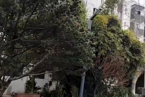 1bebroom with a balcony,free gym and wifi in nice compound, near Shanghai Unv