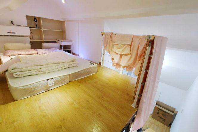 Cozy 1+1 bedroom in Old Xuhui, 5 mins walking to L9 DaPuQiao St.