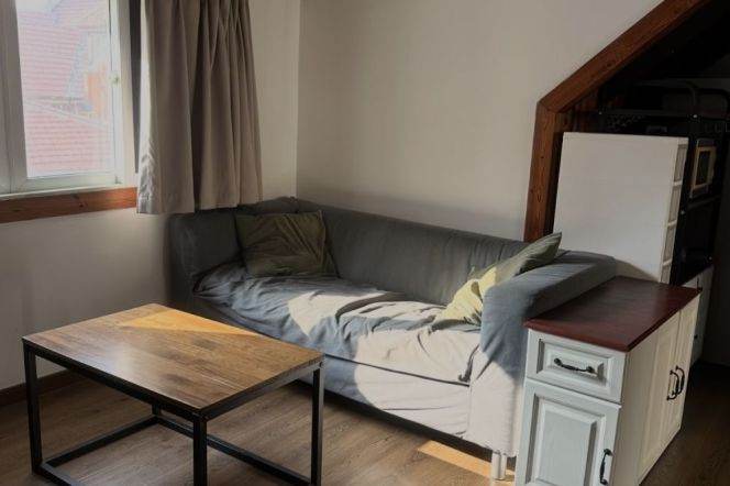 convenient location- quiet room - clean corridors- pet unfriendly- Jing’an temple 