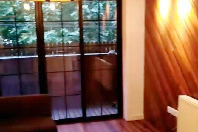 Lovely 1BR 1LR with outdoor balcony @Taiyuan rd  
