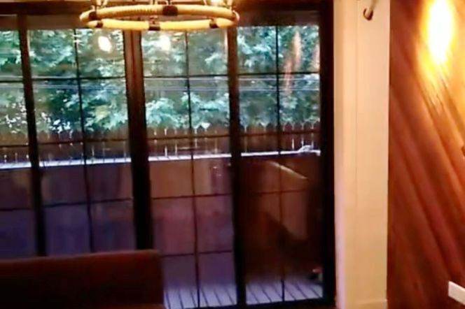 Lovely 1BR 1LR with outdoor balcony @Taiyuan rd  