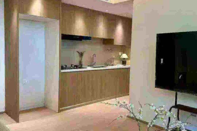 Jiangning Rd Station Elevator 1Br Line13