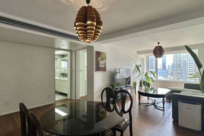 West Nanjing rd elevator 2BR apartment