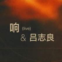 响 (Live) &吕志良 (Downtempo, Dub)