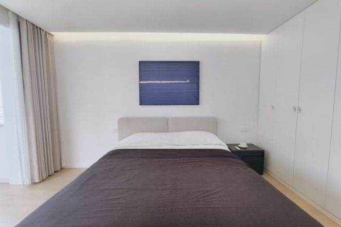 1 br near L1/L9/L11 xujiahui station+lift