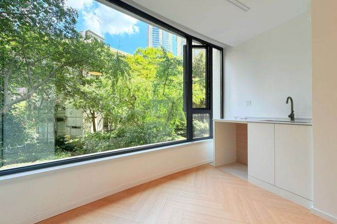 West Nanjing Rd brand new 2Br wt large windows, green view