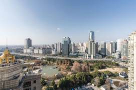 High-Floor 3BR Apartment in Gubei