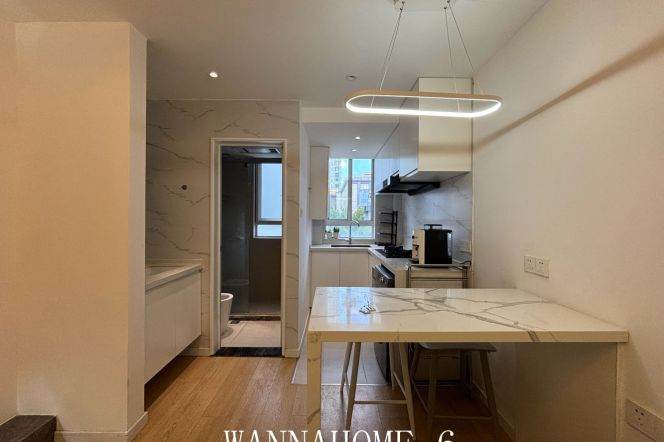 1BR Apartment in Xujiahui