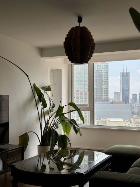 Housing image — Living Room