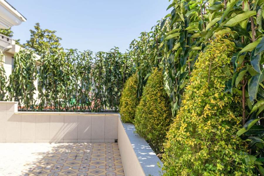 Housing image — Terrace