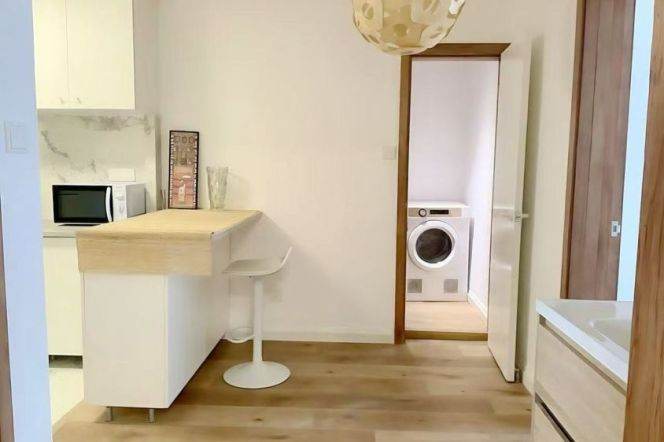 1BR Apartment in Old Xuhui (L7/L9)