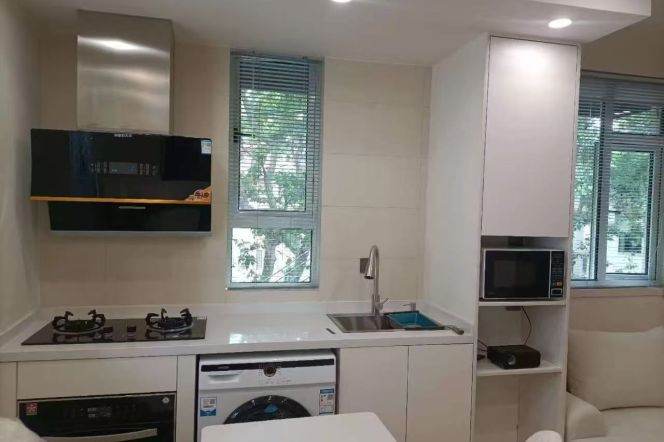 1BR Apartment in Old Xuhui (L1/L9/L10/L11)