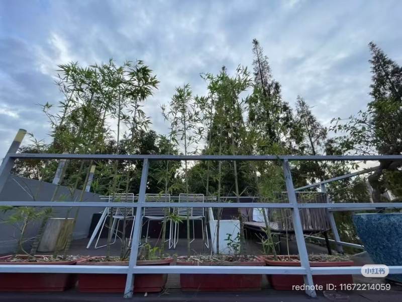 Housing image — Terrace