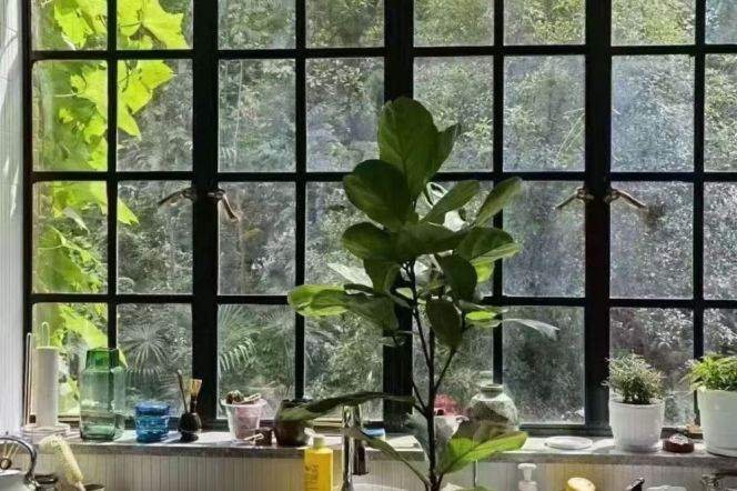 Spacious 1BR Heritage Apartment in Old Xuhui