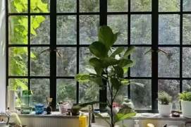Spacious 1BR Apartment in Old Xuhui